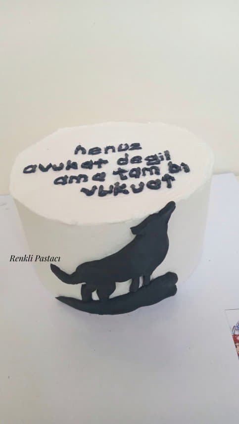 Hüsniye Y. — çalışma 4