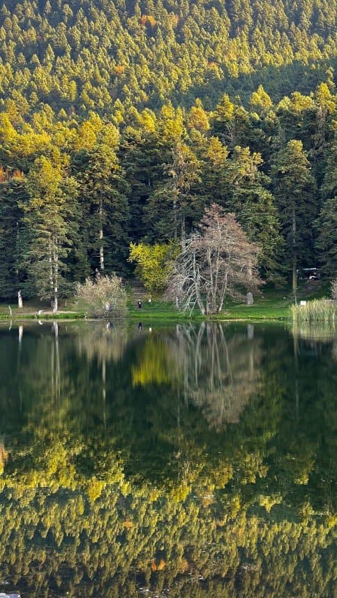İhsan C. — çalışma 3