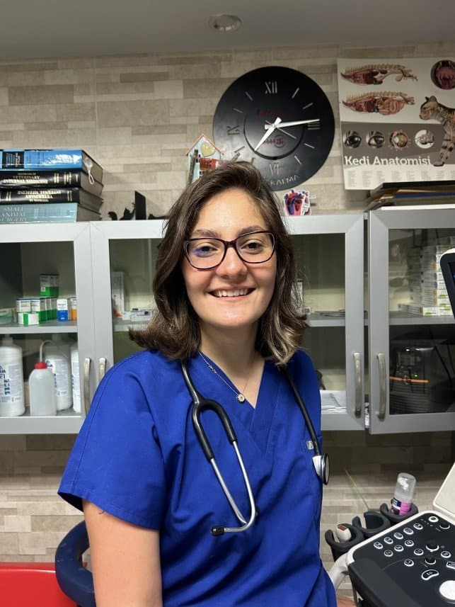 İlayda Ö. — çalışma 1