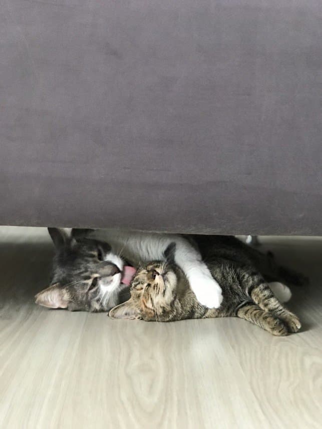 İlkay T. — çalışma 3