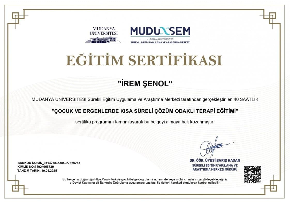 İrem Ş. — çalışma 2