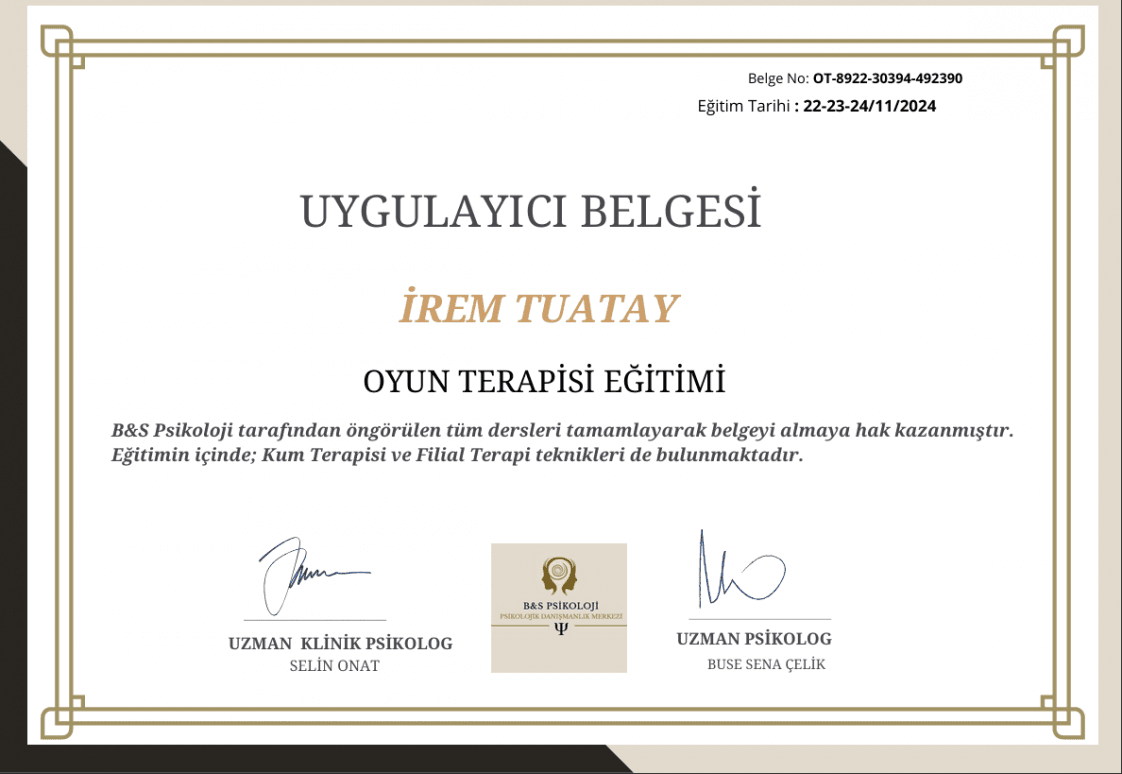 İrem T. — çalışma 6