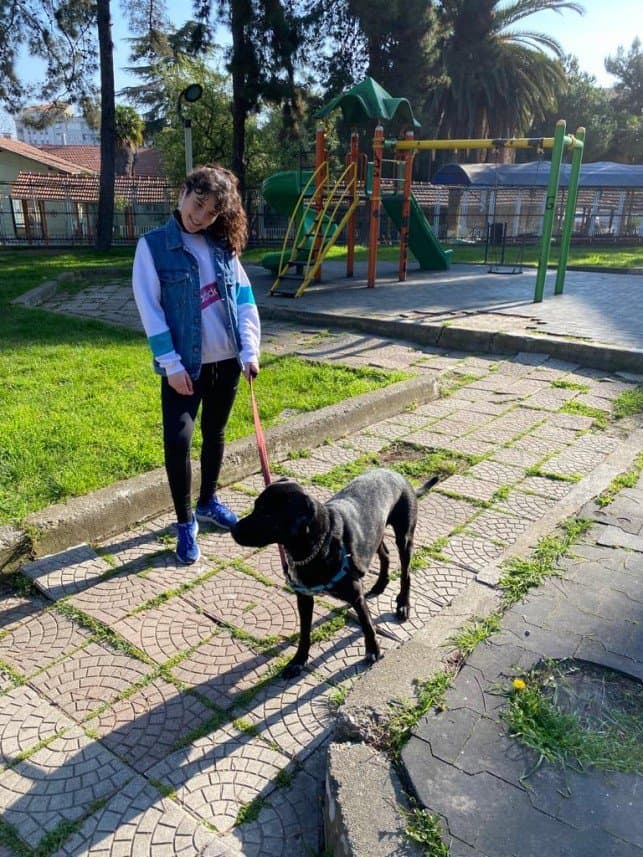 İrem Y. — çalışma 2