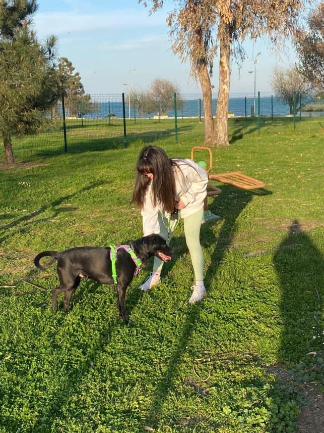 İrem Y. — çalışma 4