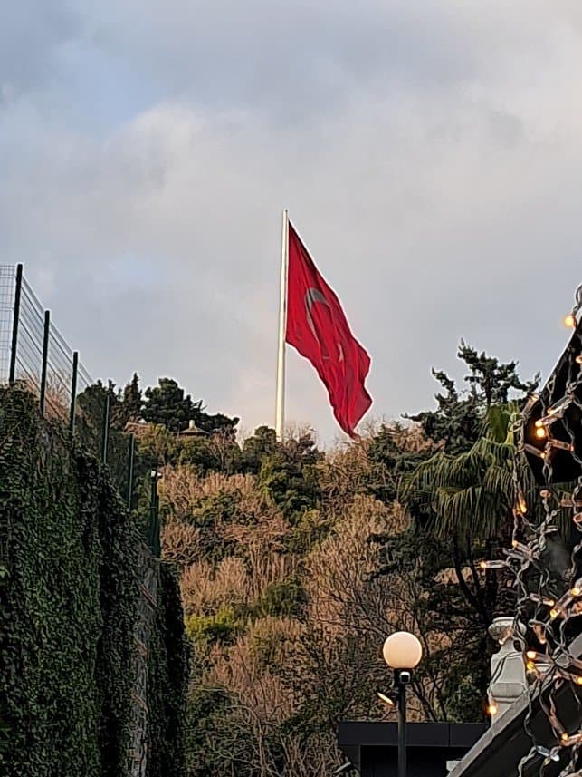 Kamil İ. — çalışma 2