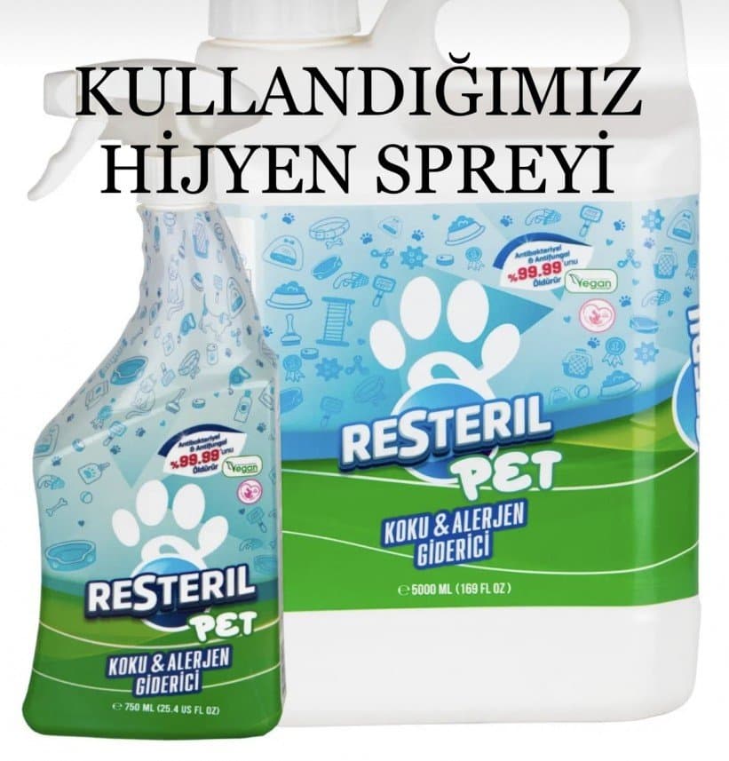 Kedili E. — çalışma 3