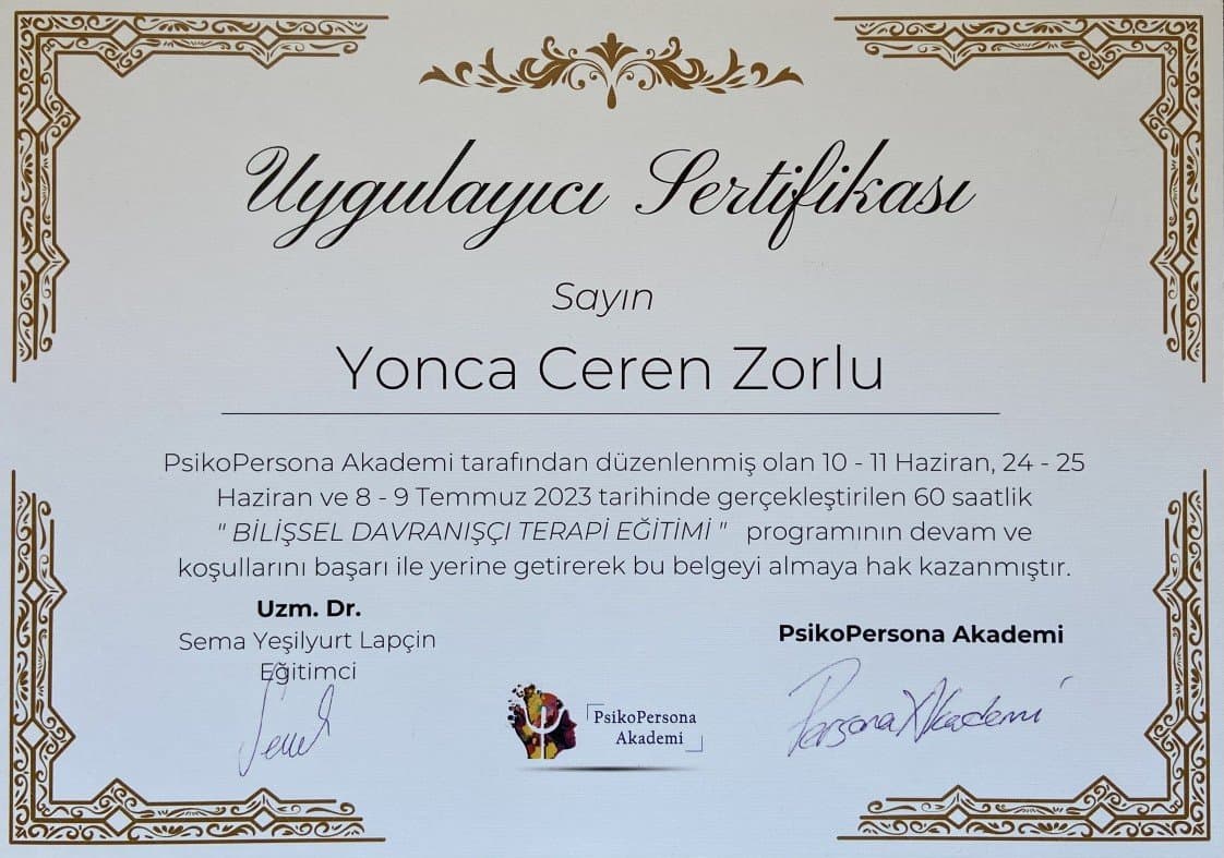 Klinik Z. — çalışma 3