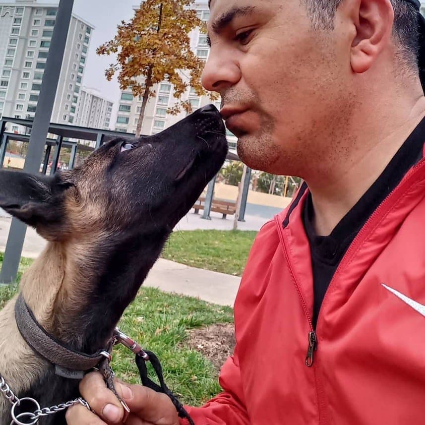 Köpek E. — çalışma 6