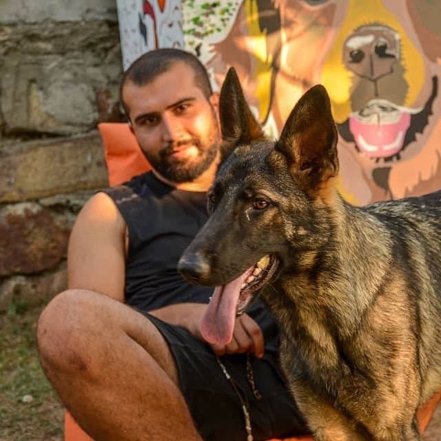 Köpek G. — çalışma 2