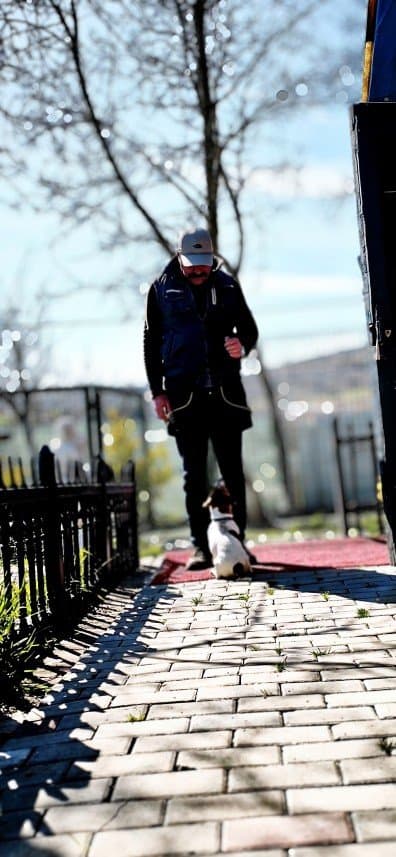 Taner Ç. — çalışma 1
