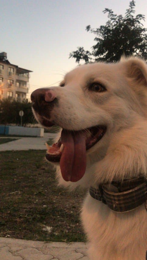 Koray T. — çalışma 1