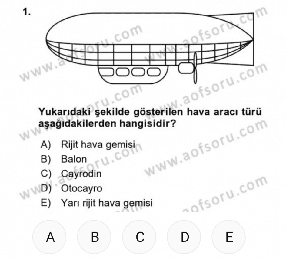 Lalahan D. — çalışma 1