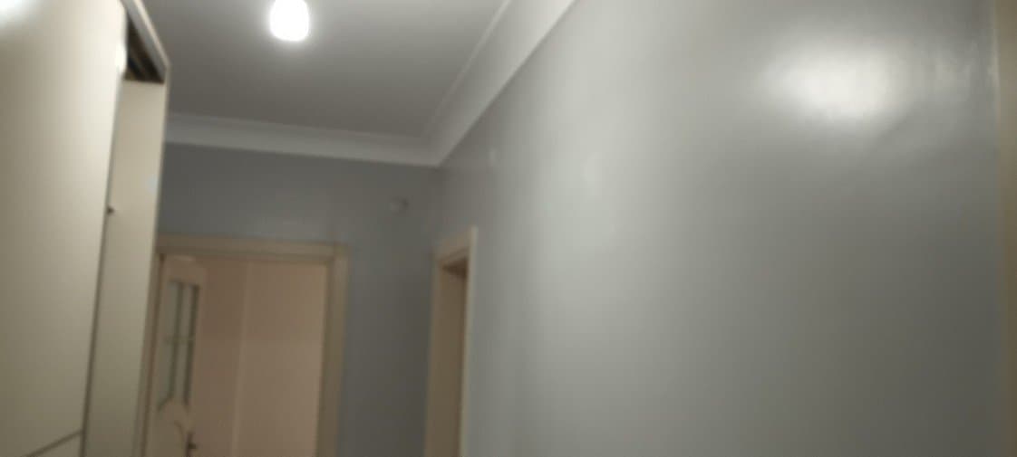 Levent E. — çalışma 1