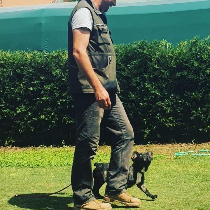 Özden Ç. — çalışma 4