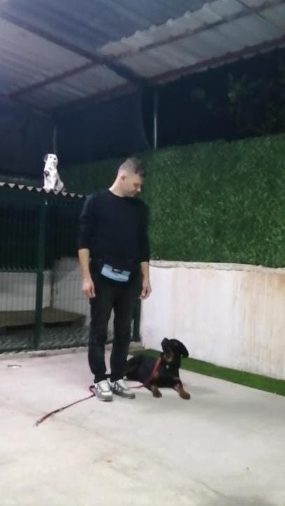 Özden Ç. — çalışma 5