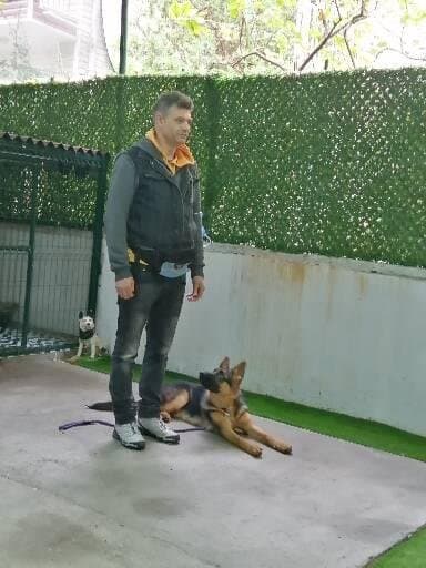 Özden Ç. — çalışma 7