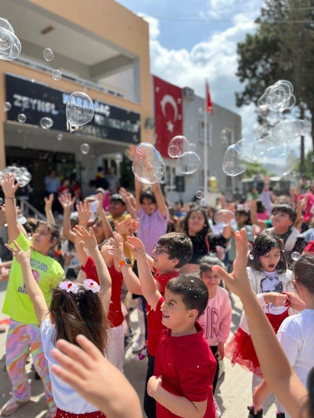 Mavişli O. — çalışma 2