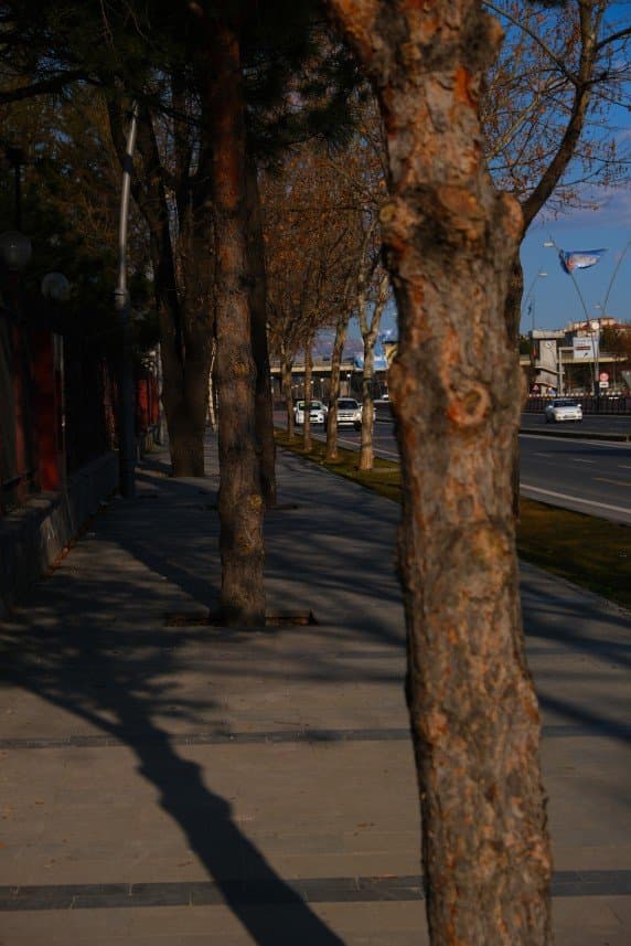 Mehmet T. — çalışma 3