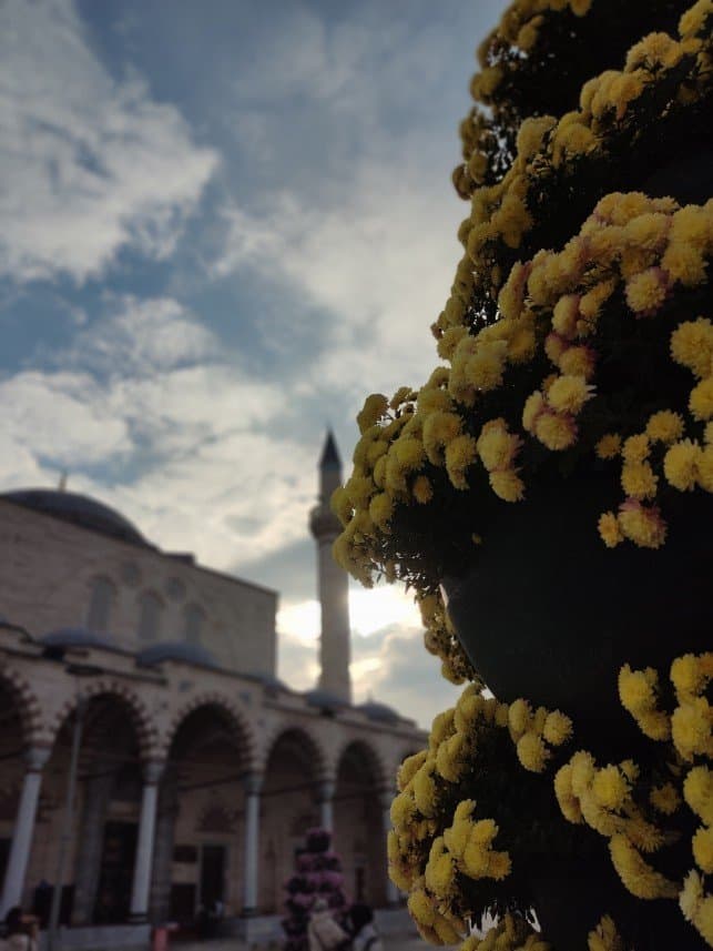 Mehmet V. — çalışma 2