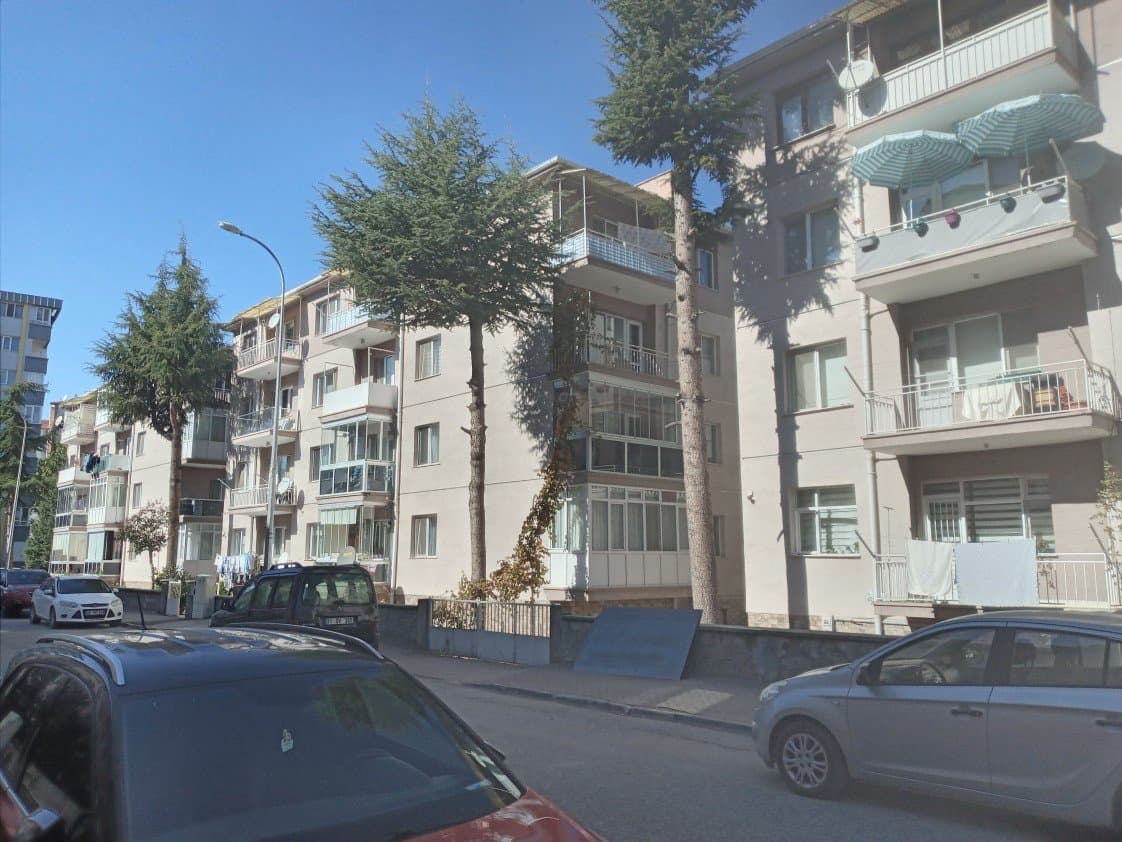 Mehmetali Y. — çalışma 3
