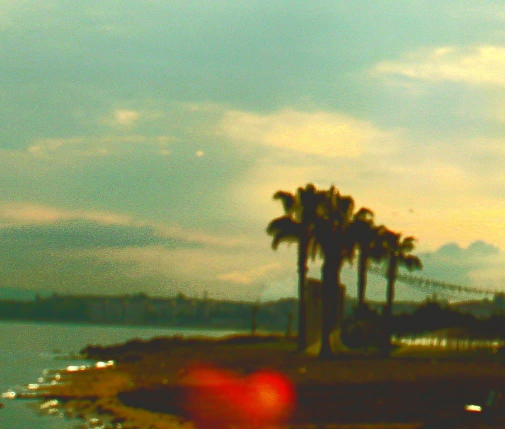 Mehtap B. — çalışma 1