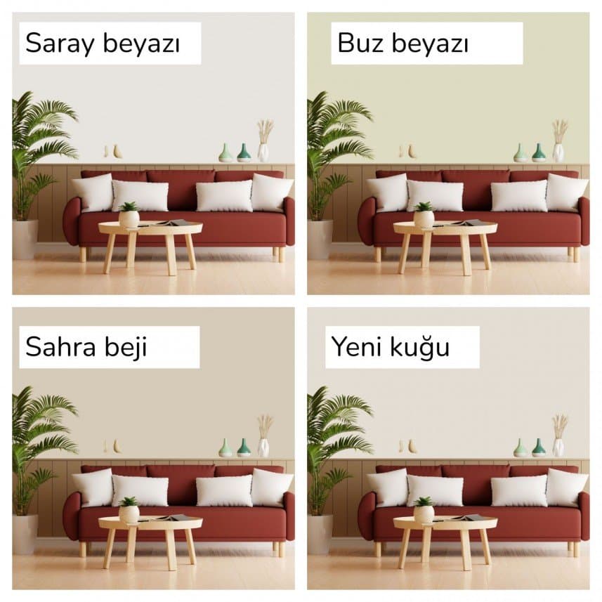 Mekan Ş. — çalışma 6