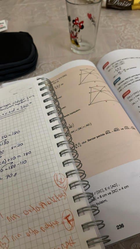 Melike U. — çalışma 3