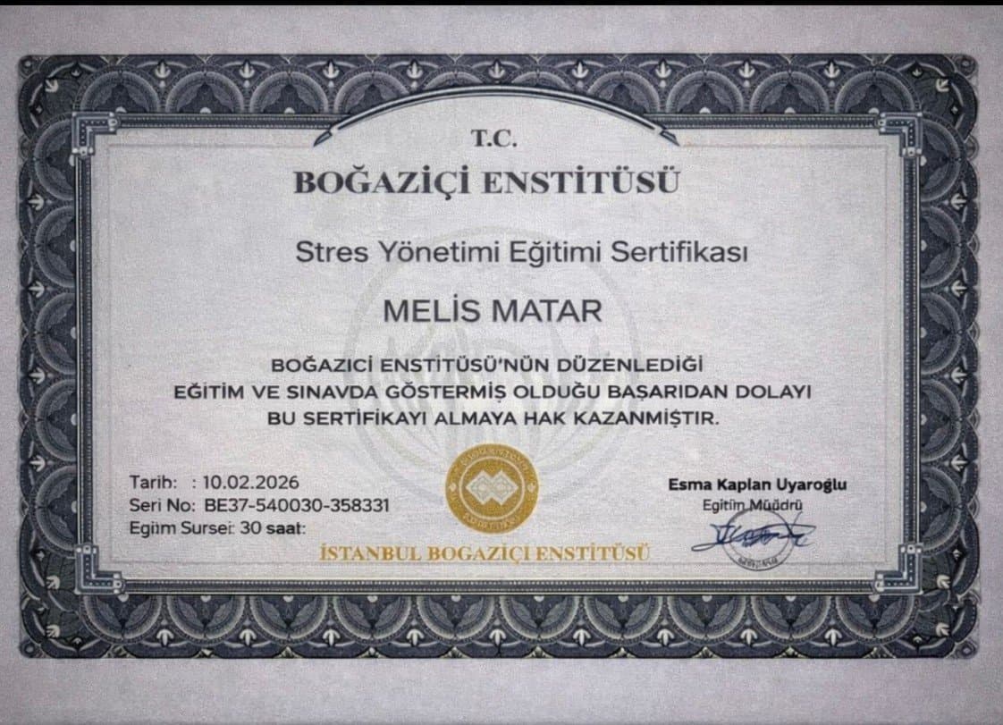 Melis M. — çalışma 2