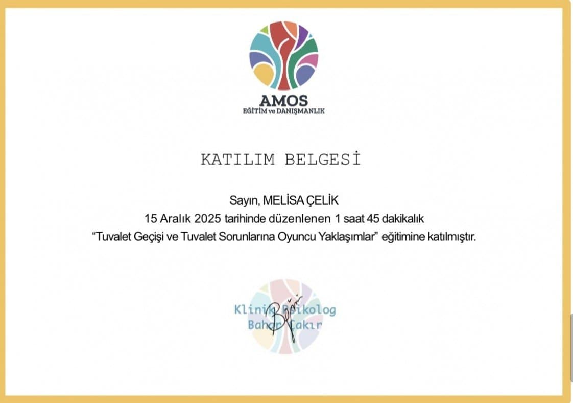 Psikolog Ç. — çalışma 1