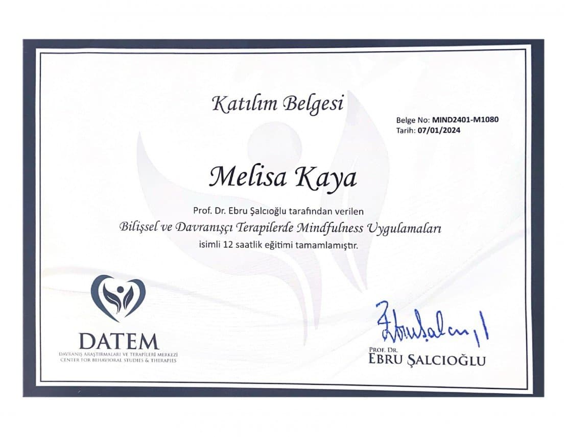 Melisa K. — çalışma 4