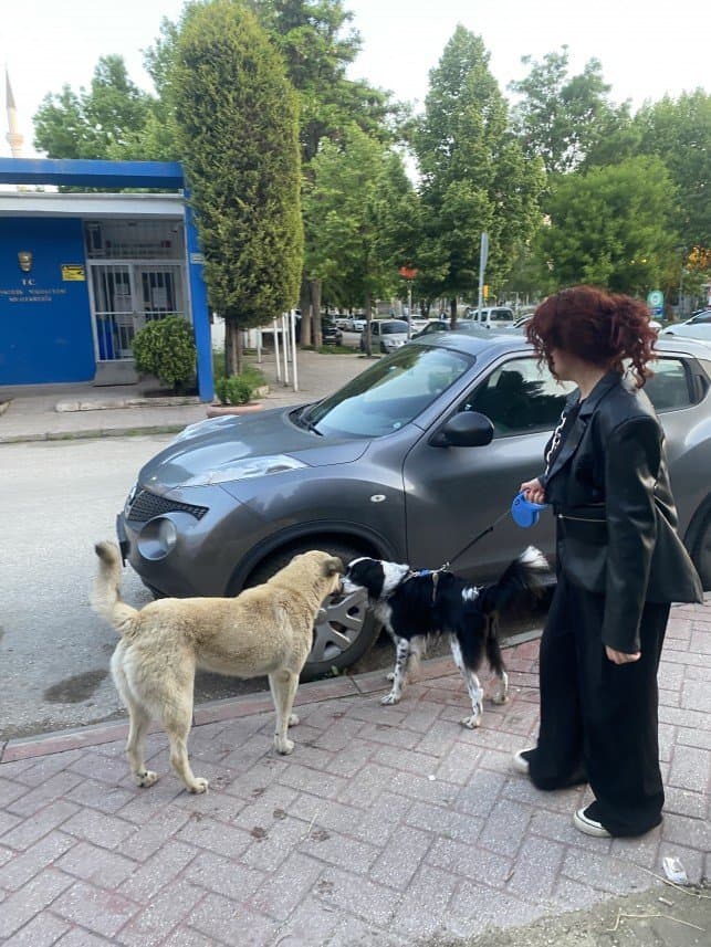 Merve S. — çalışma 3