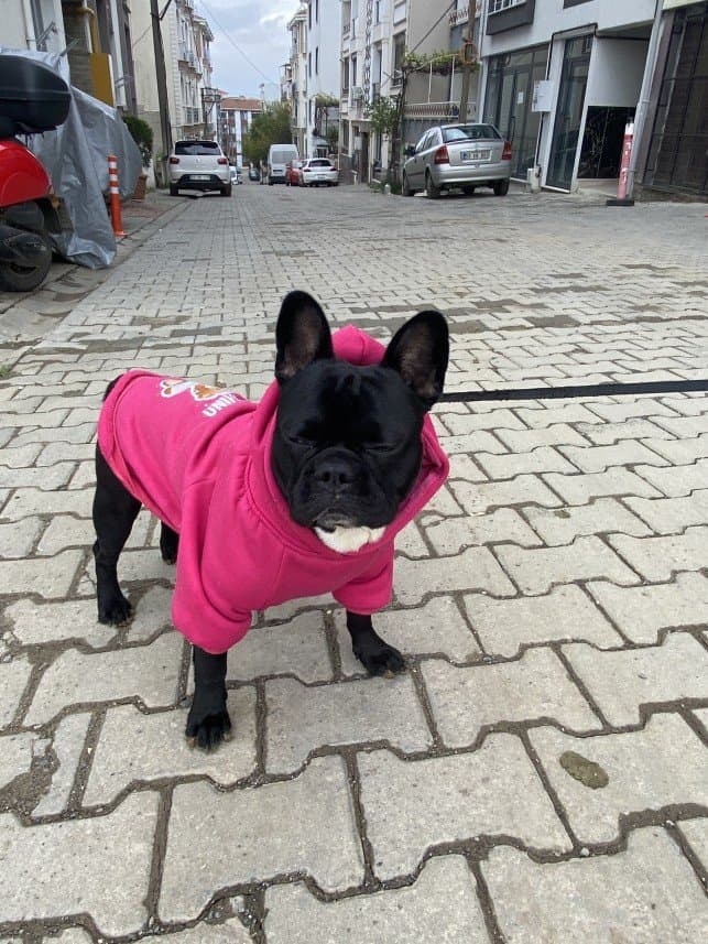 Merve S. — çalışma 6