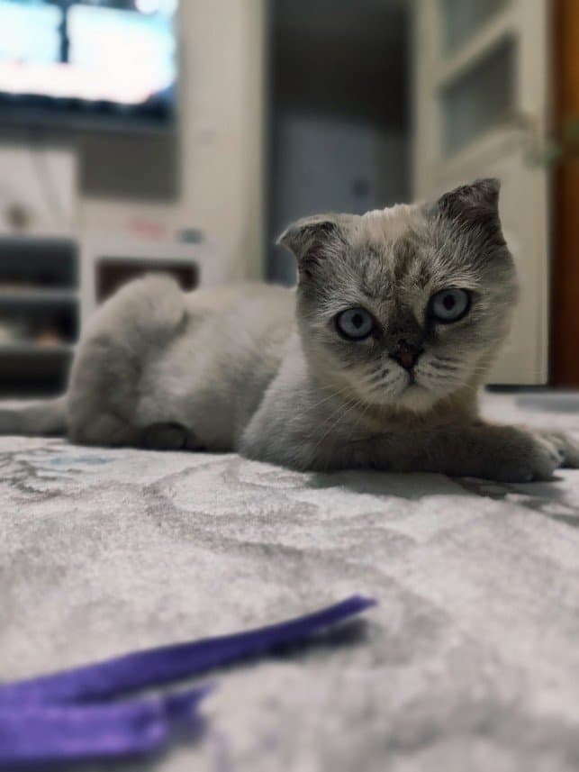 Merve T. — çalışma 1