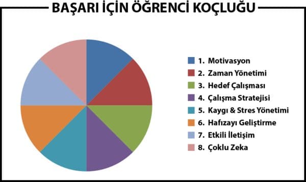 Merve Y. — çalışma 3