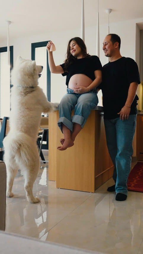 Momento A. — çalışma 2