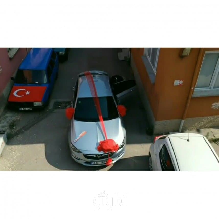 Öz Ç. — çalışma 1