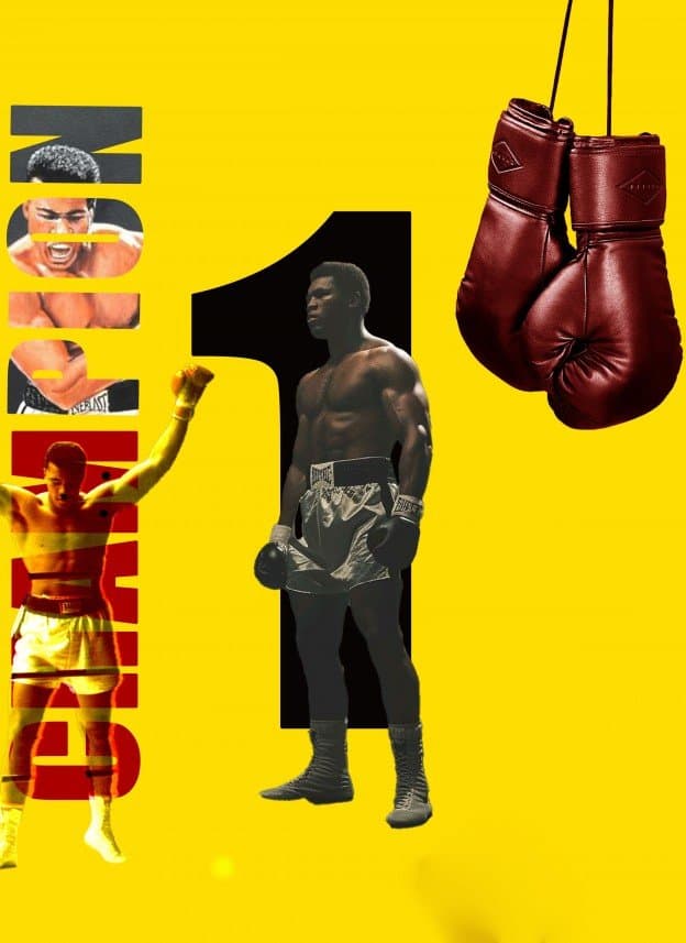 Mustafa A. — çalışma 5