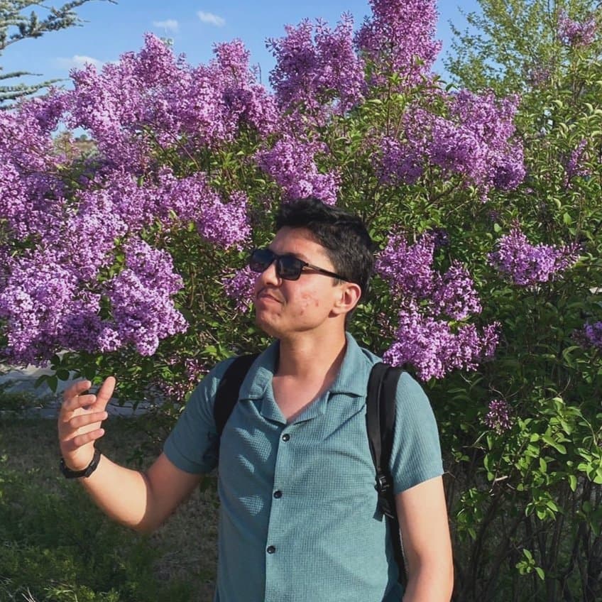Mustafa S. — çalışma 1
