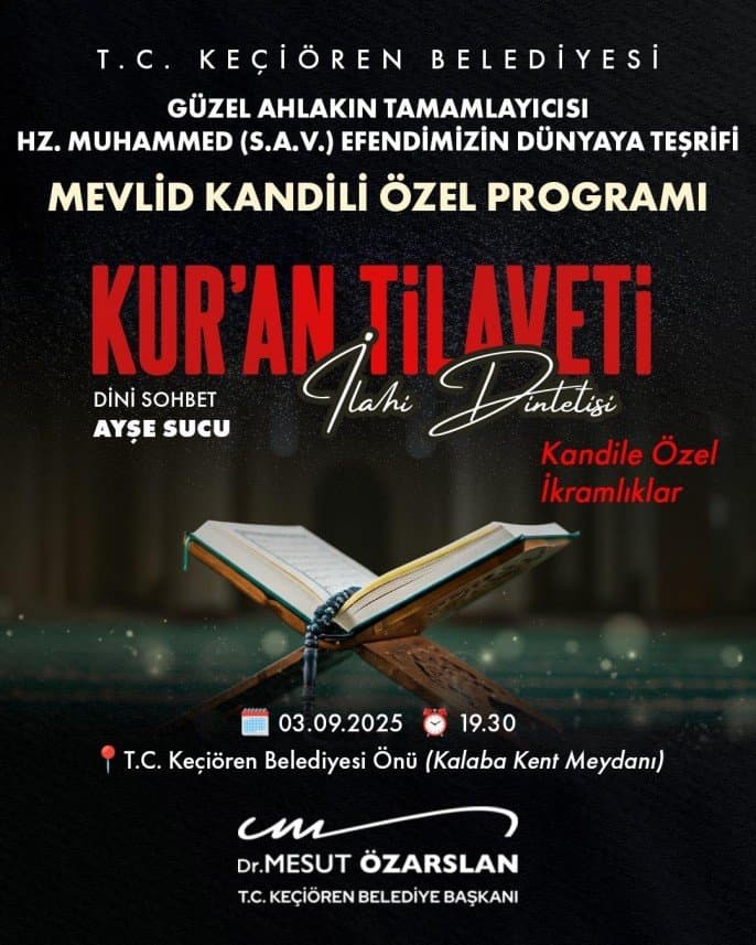 Nalan Ş. — çalışma 3