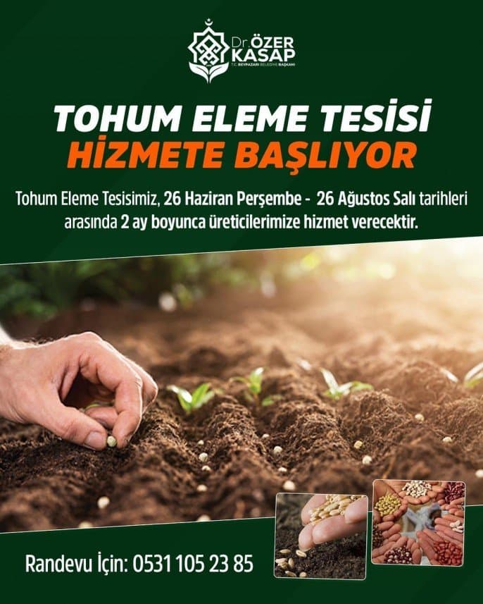 Nalan Ş. — çalışma 7