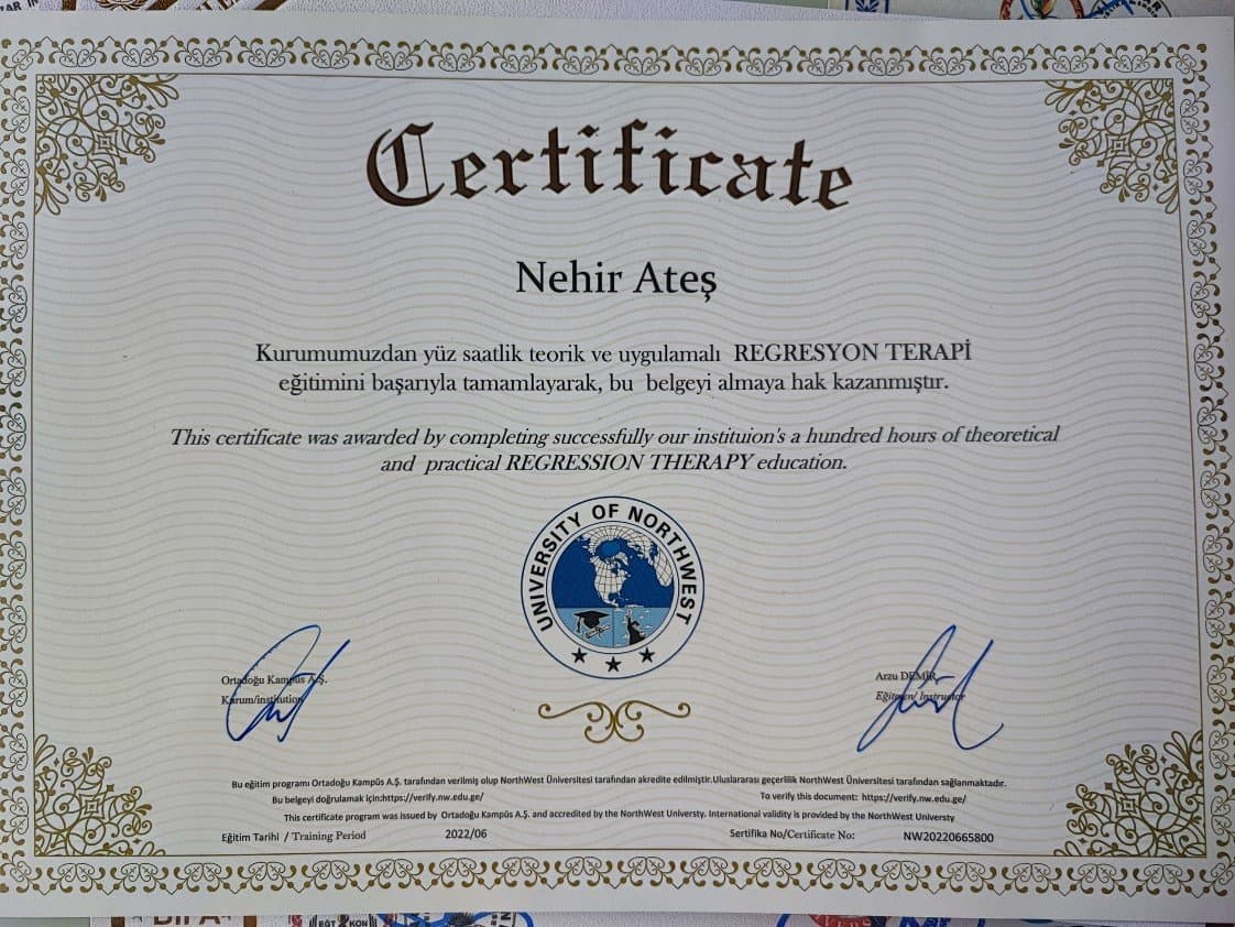 Nehir A. — çalışma 5