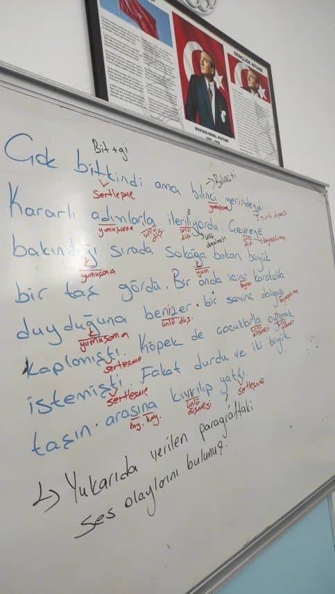 Nesibe Ö. — çalışma 8