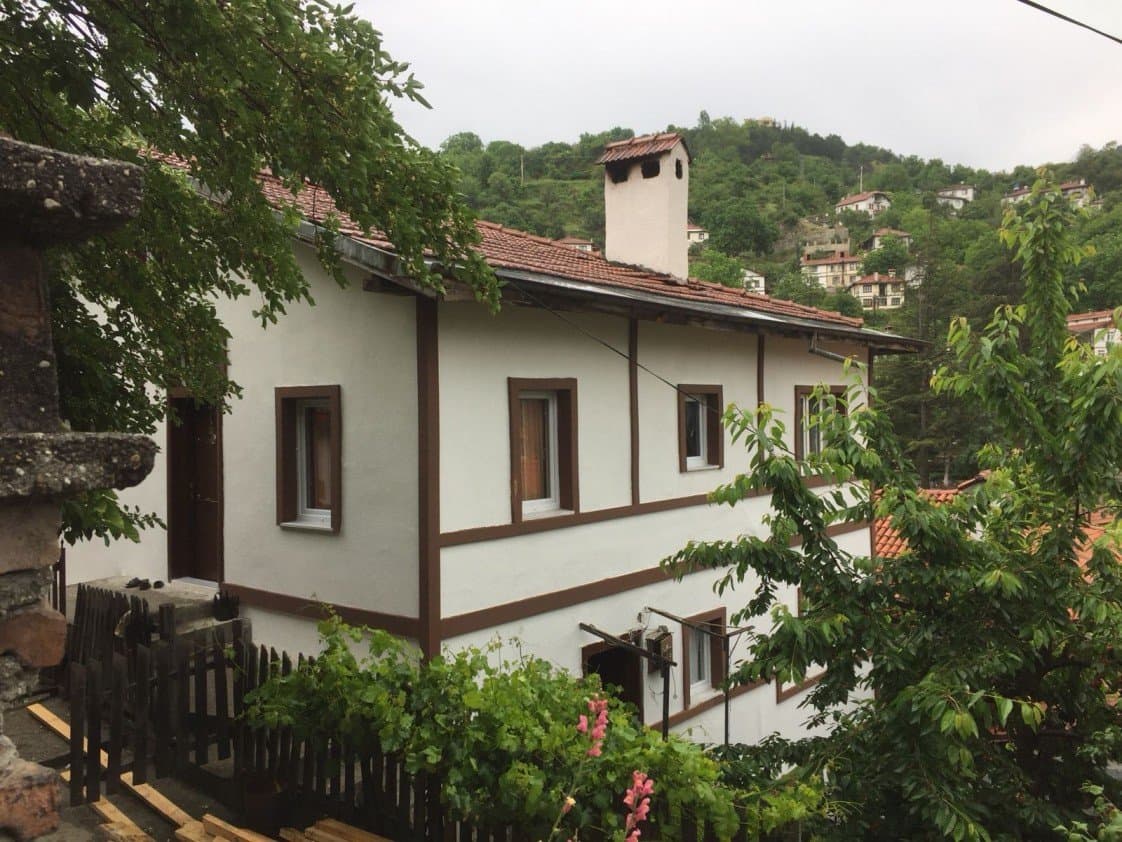 Nesim S. — çalışma 1