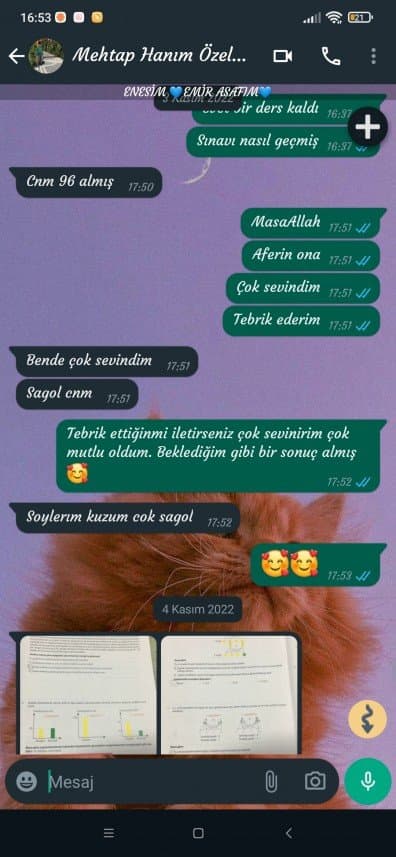 Nesli — çalışma 2
