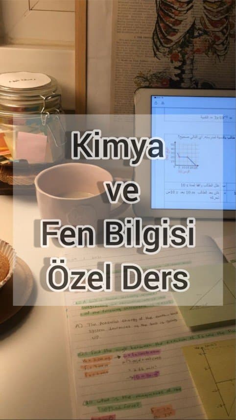Nesli — çalışma 3