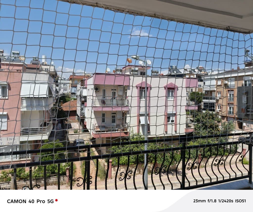 Net F. — çalışma 1