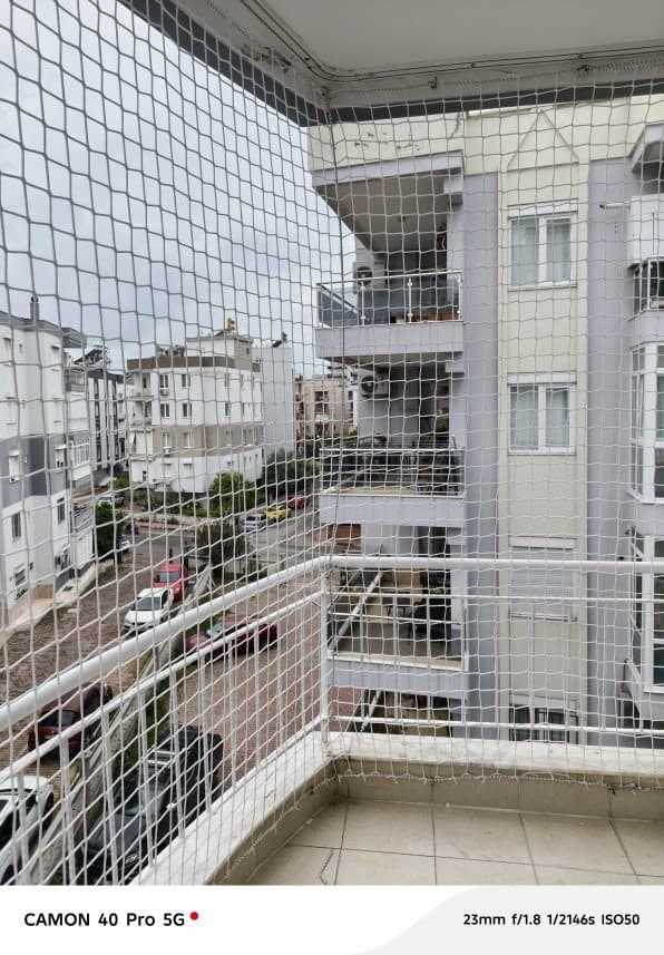 Net F. — çalışma 6