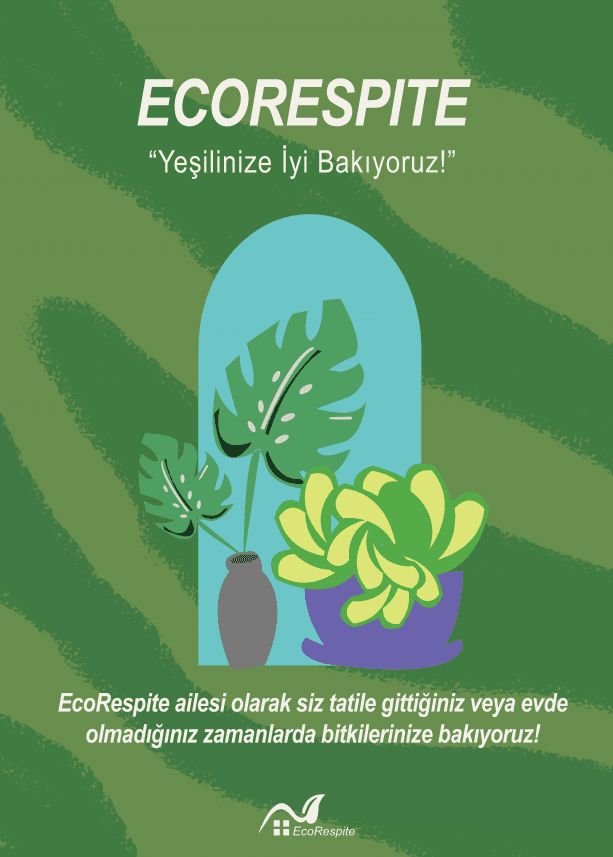 Nisa Ç. — çalışma 2