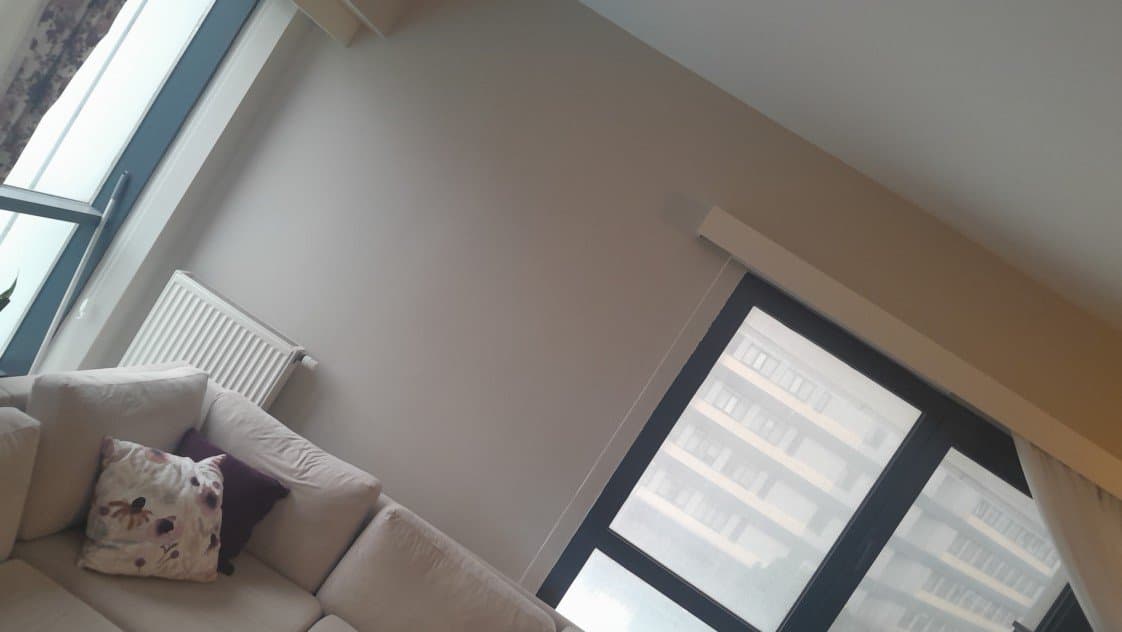 Nisbet Y. — çalışma 3