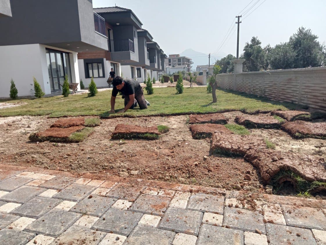 Nuh D. — çalışma 8